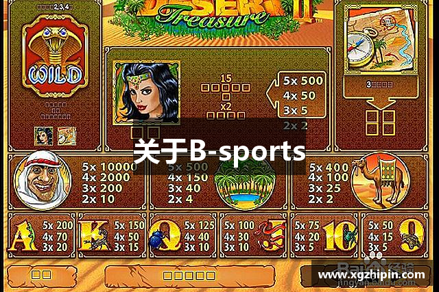 关于B-sports